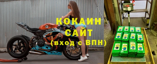 индика Алексеевка