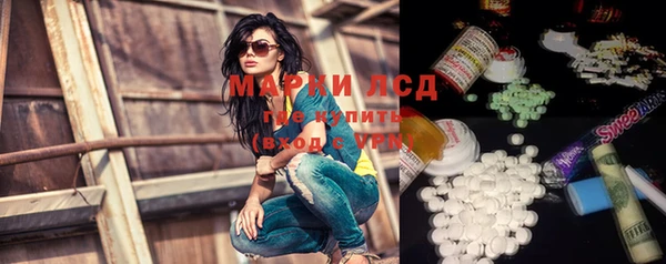 индика Алексеевка