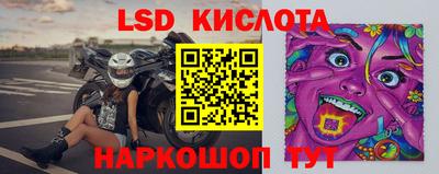 ГАЛЛЮЦИНОГЕННЫЕ ГРИБЫ Камышлов