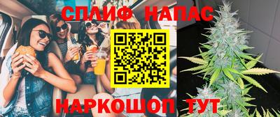 мдпв Кандалакша