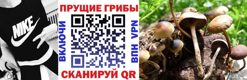 Псилоцибиновые грибы Magic Shrooms  Нижнеудинск 