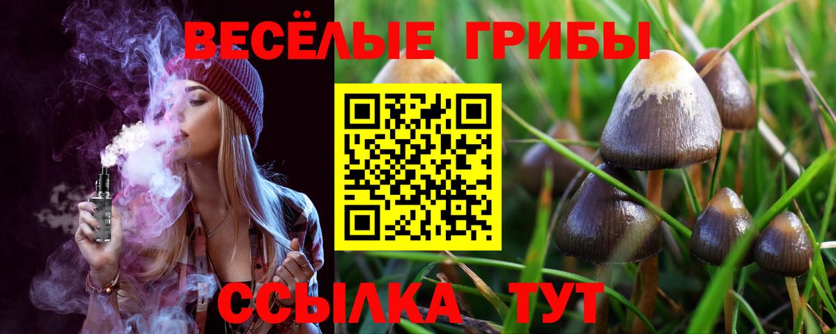Псилоцибиновые грибы Psilocybe  цена   Нижнеудинск  Вход с VPN 